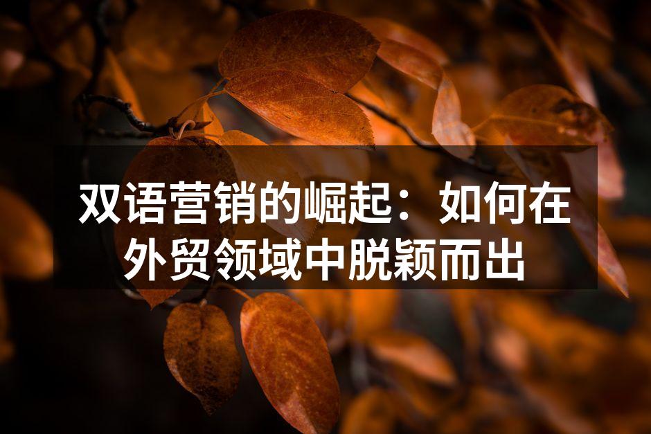 双语营销的崛起：如何在外贸领域中脱颖而出