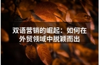 双语营销的崛起：如何在外贸领域中脱颖而出