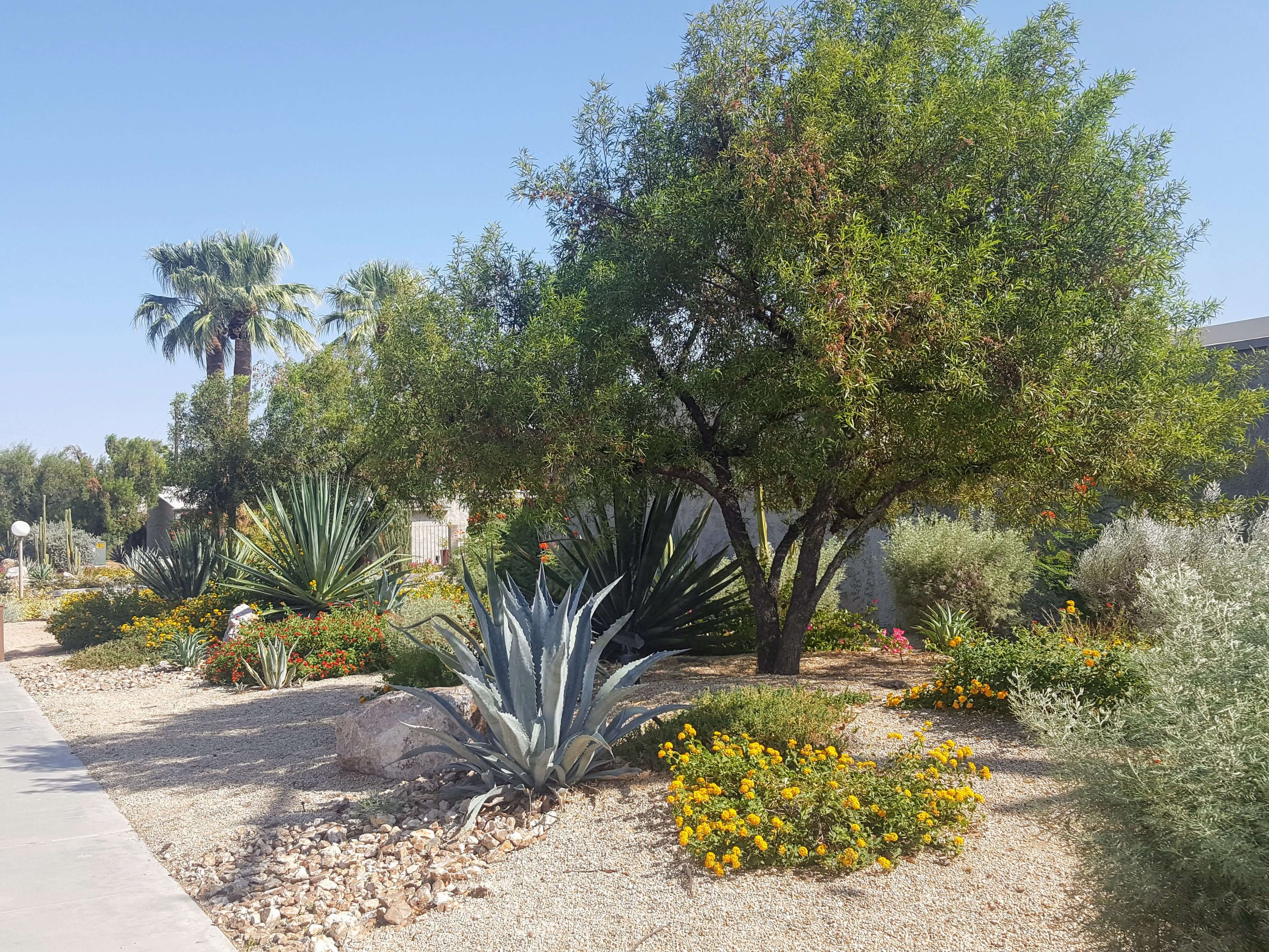 Ramona Villas Palm Springs